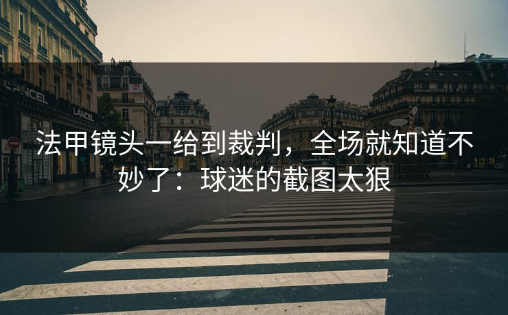 法甲镜头一给到裁判，全场就知道不妙了：球迷的截图太狠