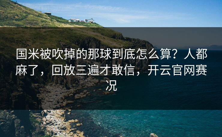 国米被吹掉的那球到底怎么算？人都麻了，回放三遍才敢信，开云官网赛况