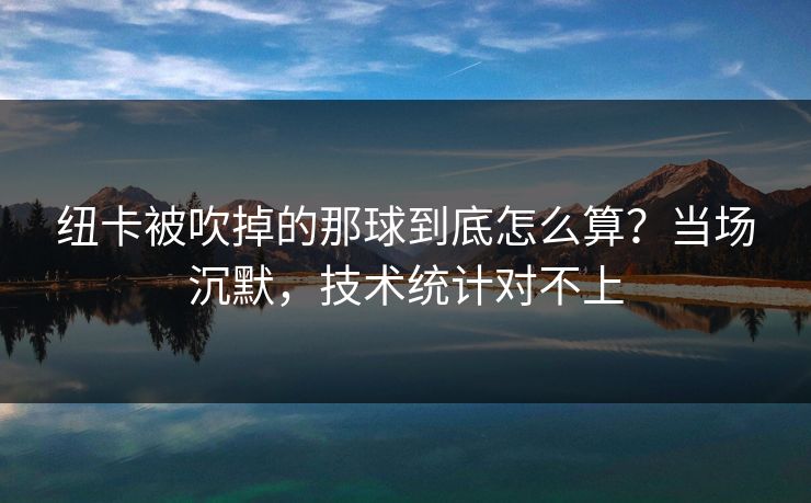 纽卡被吹掉的那球到底怎么算？当场沉默，技术统计对不上