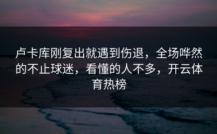 卢卡库刚复出就遇到伤退，全场哗然的不止球迷，看懂的人不多，开云体育热榜