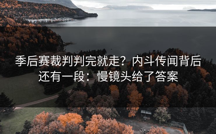 季后赛裁判判完就走?内斗传闻背后还有一段:慢镜头给了答案