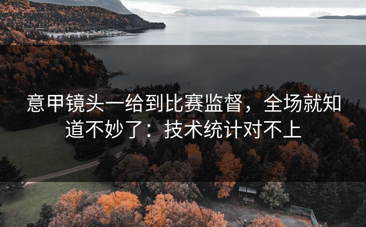 意甲镜头一给到比赛监督,全场就知道不妙了:技术统计对不上