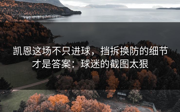 凯恩这场不只进球，挡拆换防的细节才是答案：球迷的截图太狠