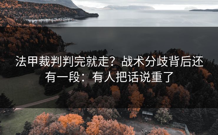 法甲裁判判完就走？战术分歧背后还有一段：有人把话说重了