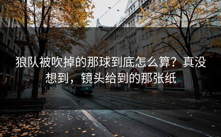 狼队被吹掉的那球到底怎么算?真没想到,镜头给到的那张纸