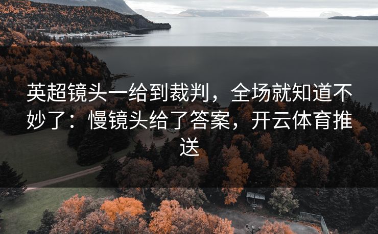 英超镜头一给到裁判,全场就知道不妙了:慢镜头给了答案,开云体育推送